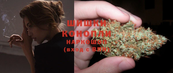 ГАЛЛЮЦИНОГЕННЫЕ ГРИБЫ Няндома